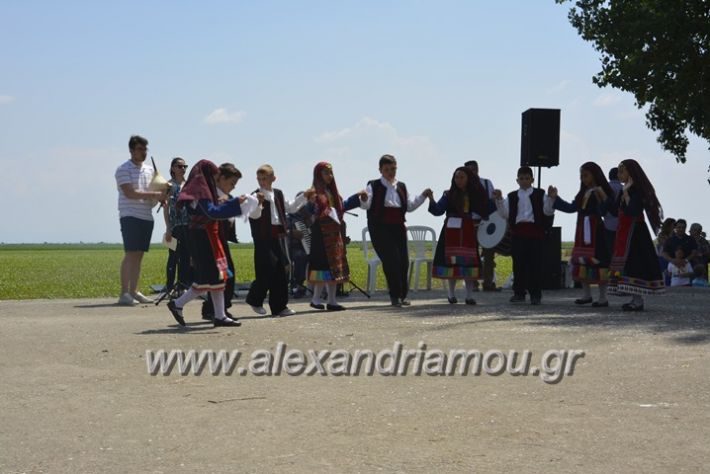 alexandriamou.gr_trikala28.5.2018156